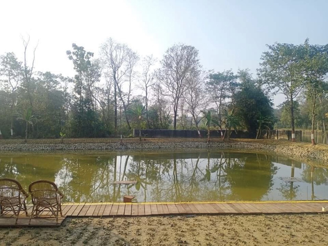 Pond Beautification